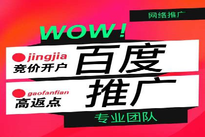 SEM托管代运营案例：打造高效营销体系
